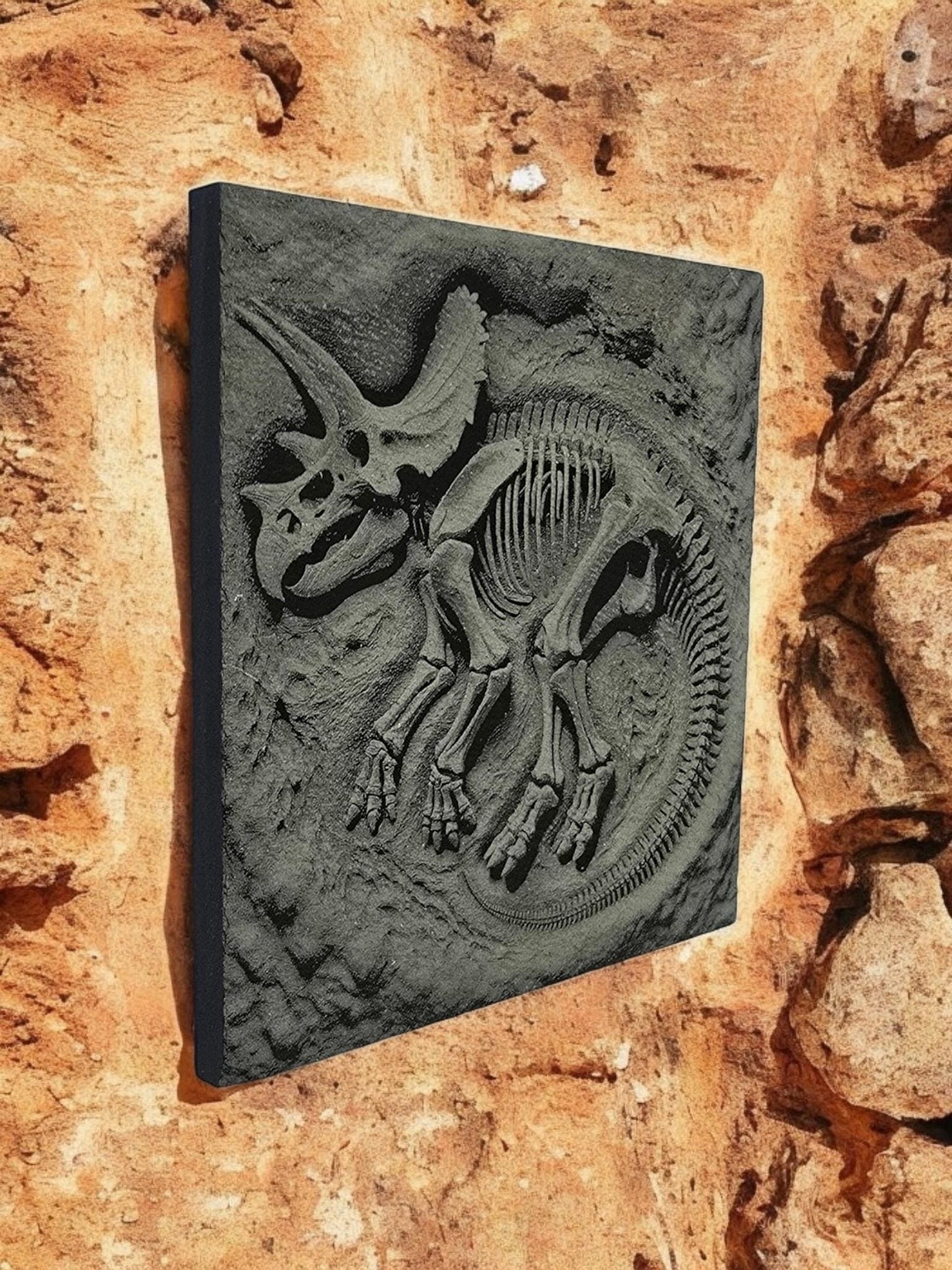 3D Effect Dinosaur Fossil Slate Coaster