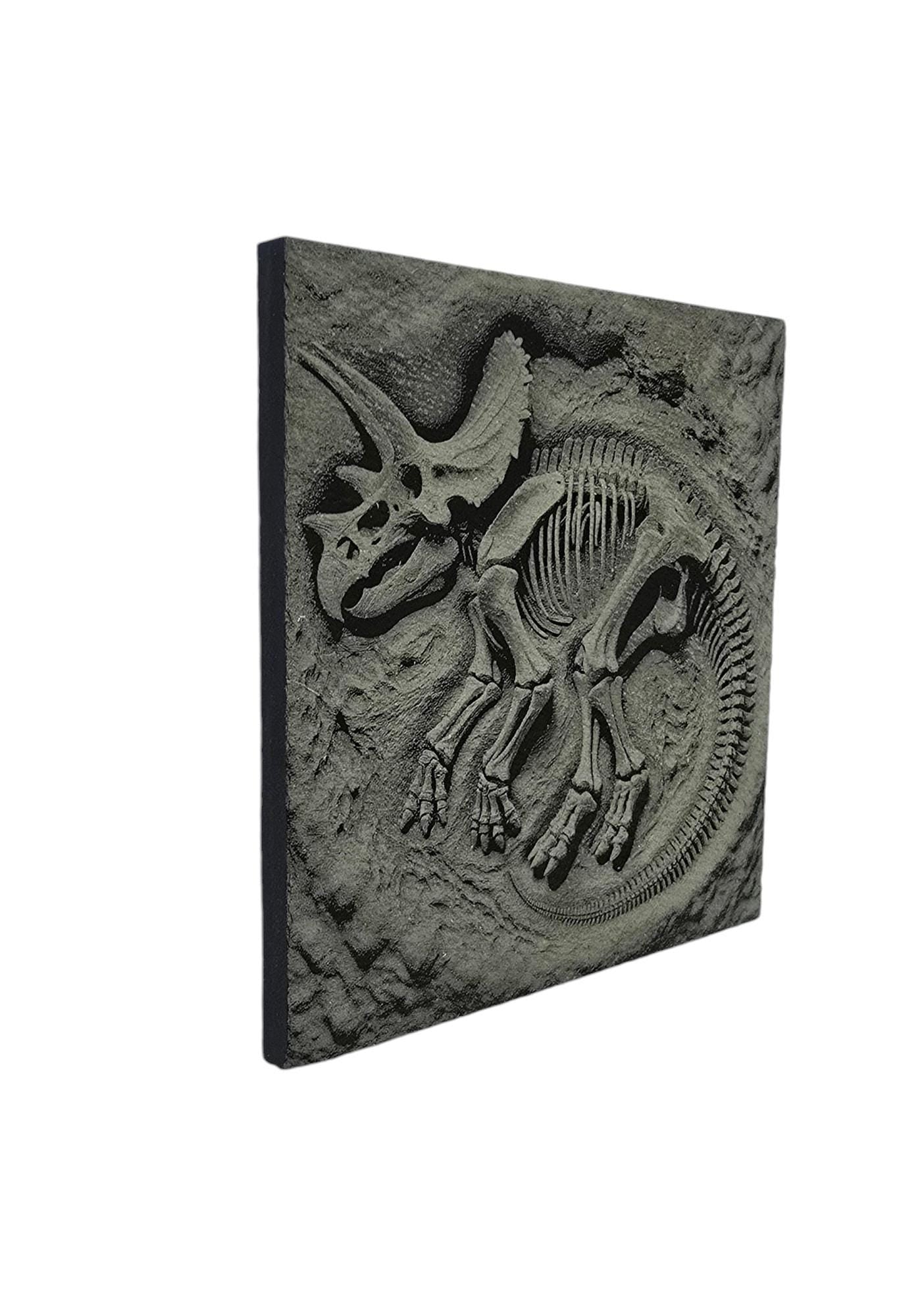 3D Effect Dinosaur Fossil Slate Coaster