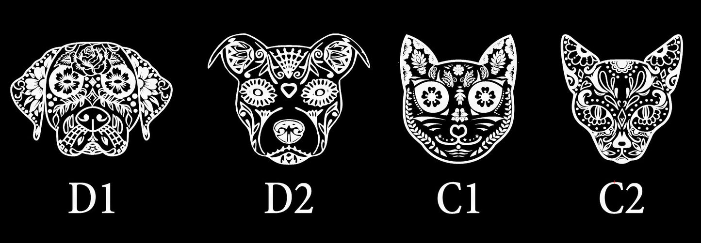 Halloween Portrait, Cinco De Mayo Family